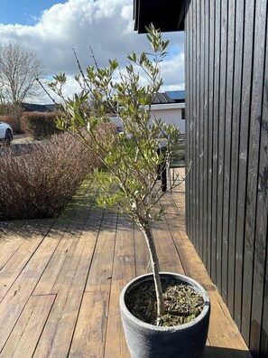 Una terraza de madera con un árbol en maceta, una valla metálica y un edificio al fondo.