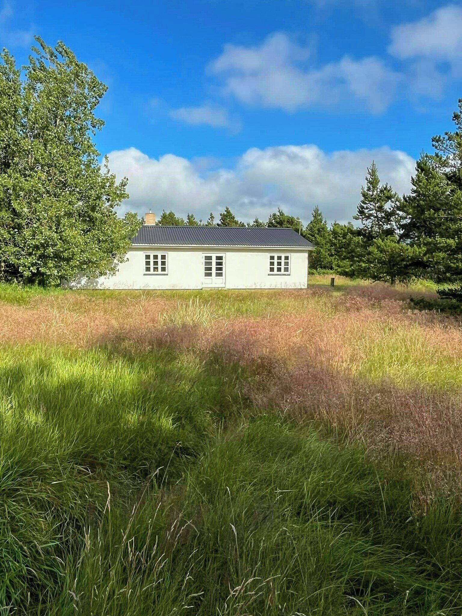 A single-story house with a white exterior and a dark roof, surrounded by a grassy field and trees.