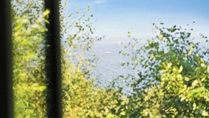A view through a window with greenery and a body of water. - 70s holiday home with fjord views at Lyby Beach (Roslev)
