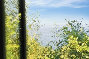 Blick durch ein Fenster auf Grünpflanzen und ein Gewässer.