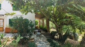 Een tuin met een pad van stenen dat leidt naar een houten bank en een tafel, omringd door diverse planten en bomen.