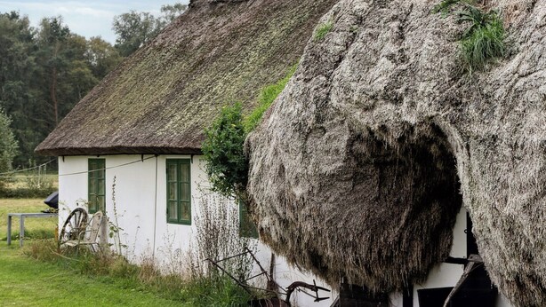 Une maison traditionnelle à toit de chaume, dotée d’une cheminée, un petit bâtiment blanc aux volets verts et un champ verdoyant.