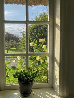Ein Fenster mit einem Blumentopf in der unteren linken Ecke, freier Blick auf Grünflächen und eine Straße.