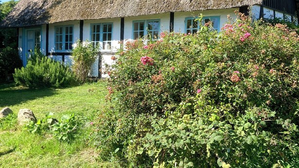 Une maison traditionnelle à toit de chaume, à l’extérieur blanc et dotée de nombreuses fenêtres, entourée d’une végétation luxuriante et d’arbustes en fleurs.