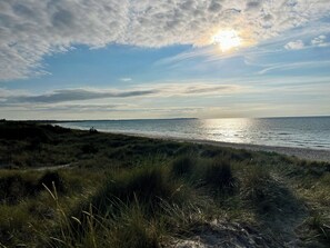 A coastal landscape with a path leading to the beach, grassy dunes, and a distant shoreline. - Summerhouse close to nature and beach (Rørvig)