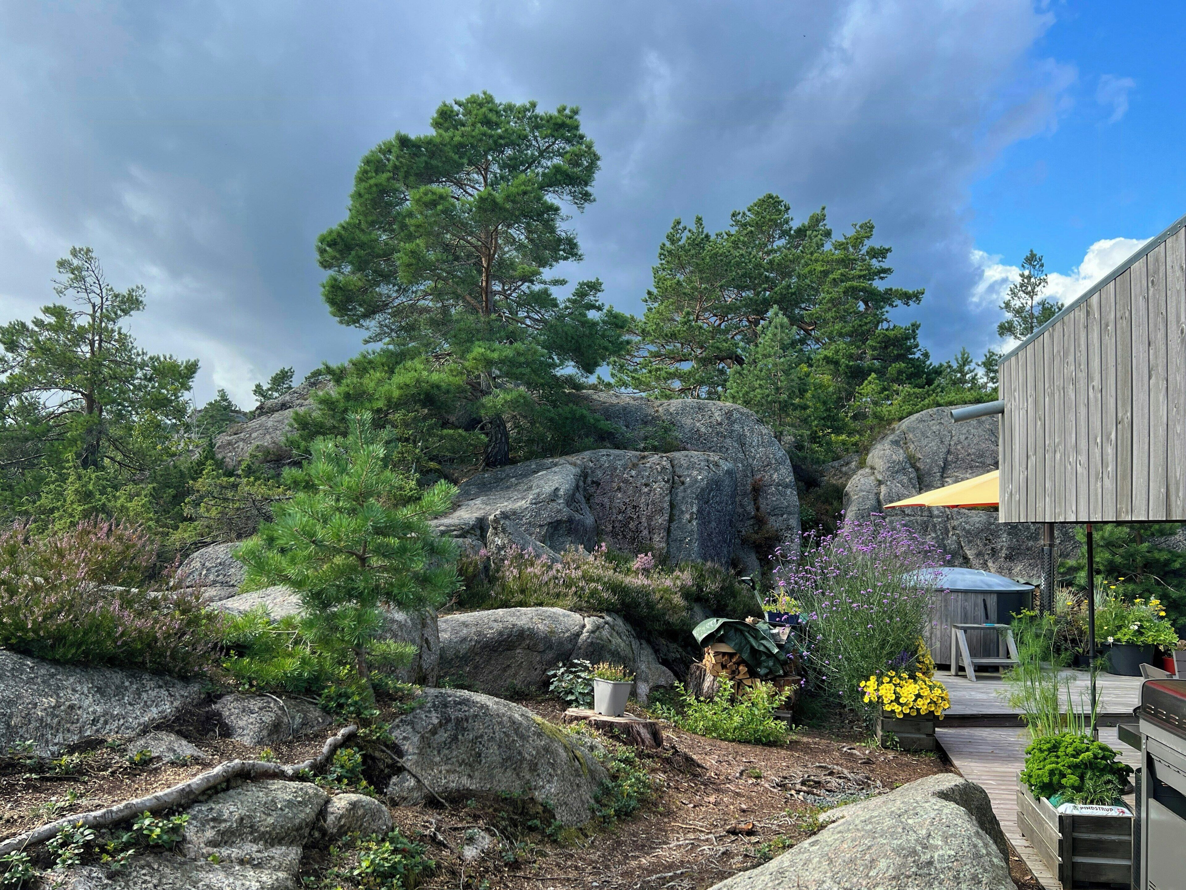 A garden with large rocks, pine trees, and a wooden structure.