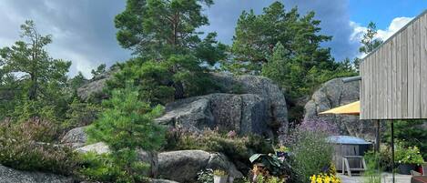 A garden with large rocks, pine trees, and a wooden structure.