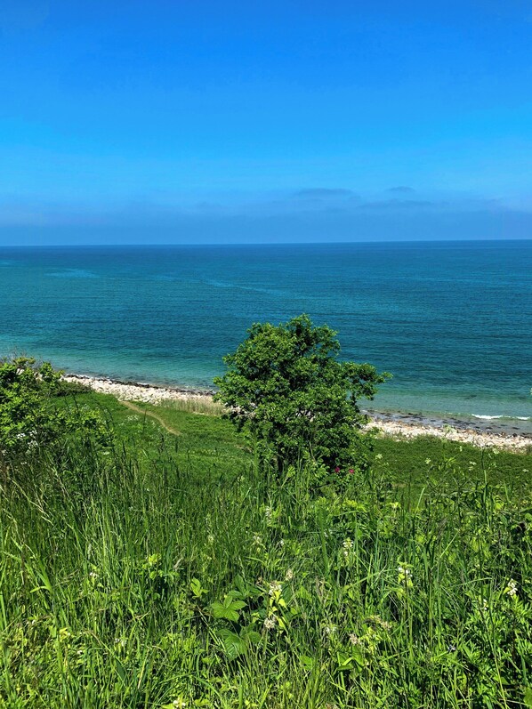 Eine Küstenlandschaft mit freiem Blick auf das Meer, einem grasbewachsen Vordergrund und einem Baum im mittleren Bereich.