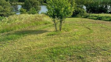Un prato erboso con un piccolo albero e un corpo d'acqua sullo sfondo.