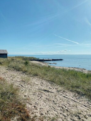 Ranta
