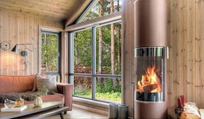 Fernseher, Kamin