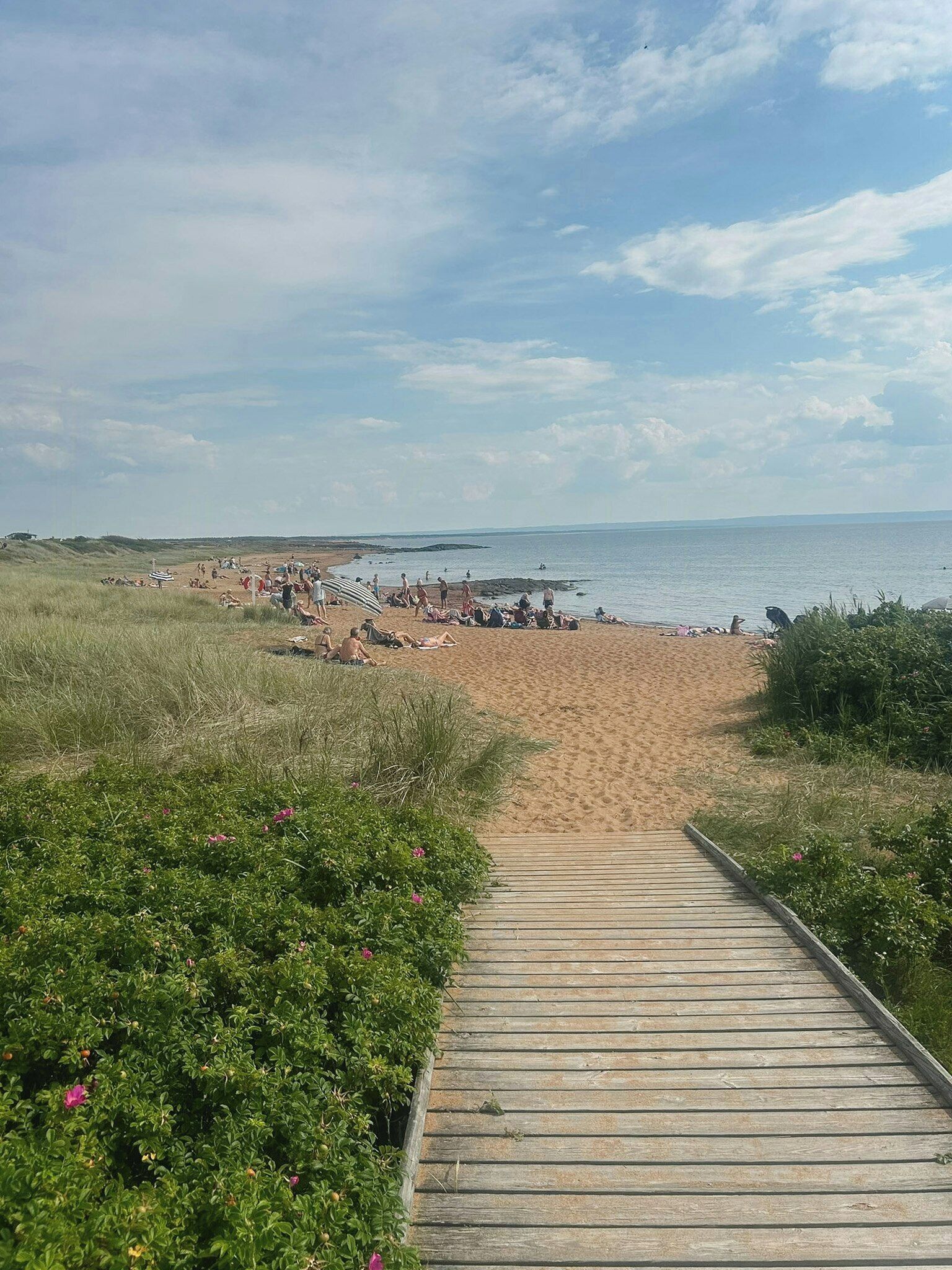 Strand