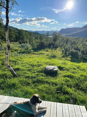 Overnatningsstedets område