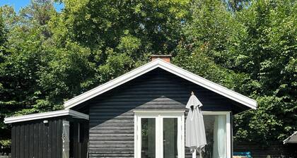 Cosy cabin collection in Veddinge Bakker
