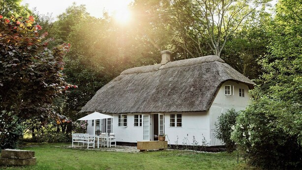 A thatched-roof house with a white exterior, surrounded by lush greenery.