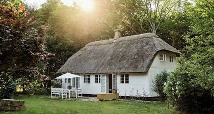 Historic Vipp house from 1775 in Søllested