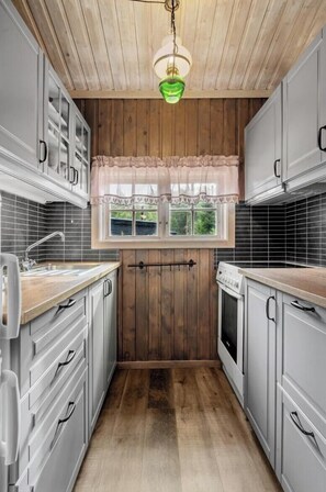 Microwave, oven, dishwasher, coffee/tea maker - Family-friendly cabin with zipline near Oppdal (Rennebu)