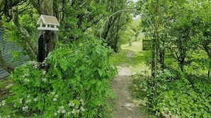 A garden pathway with a birdhouse, dense foliage, and a wooden bench. - Maritime holiday home secluded on the dike (Osterhever)