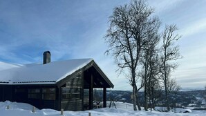 Exterior - Architectural gem with views of Hallingskarvet (Ål)