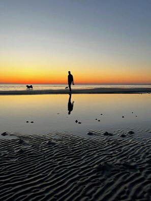 En strandscen med en person och en hund som promenerar längs stranden.