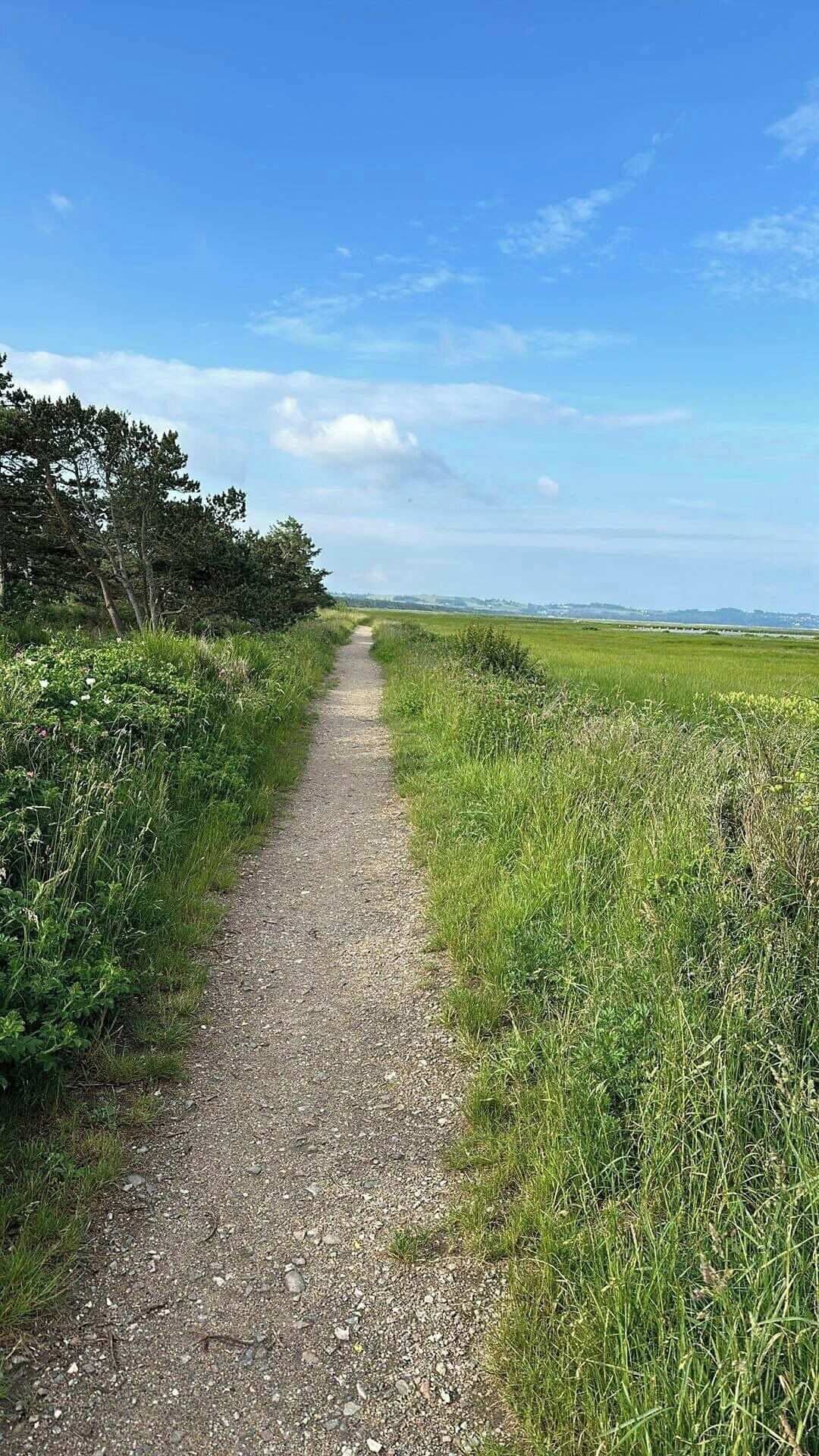 A gravel path flanked by grass and trees, leading into a rural landscape.