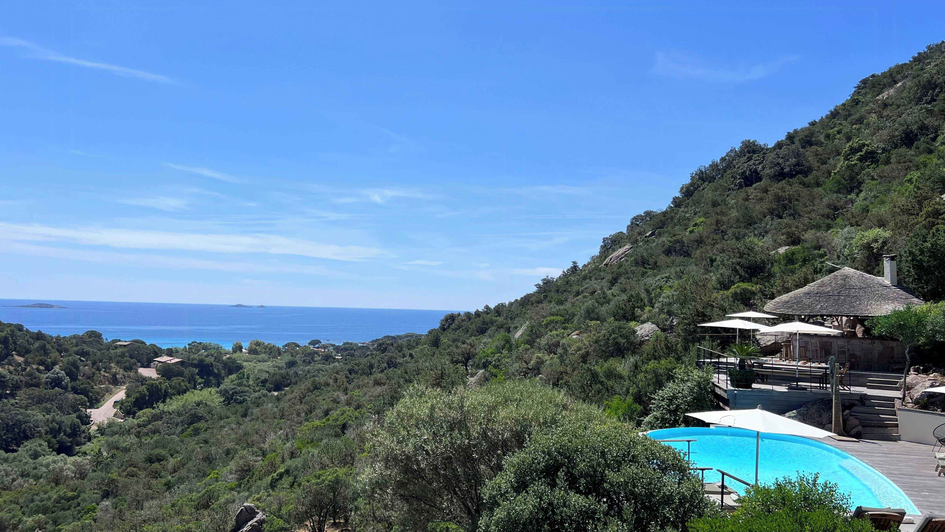 A pool surrounded by lush greenery and a view of the sea.