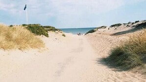 Un sentier de sable bordé de dunes, avec un drapeau sur la gauche.