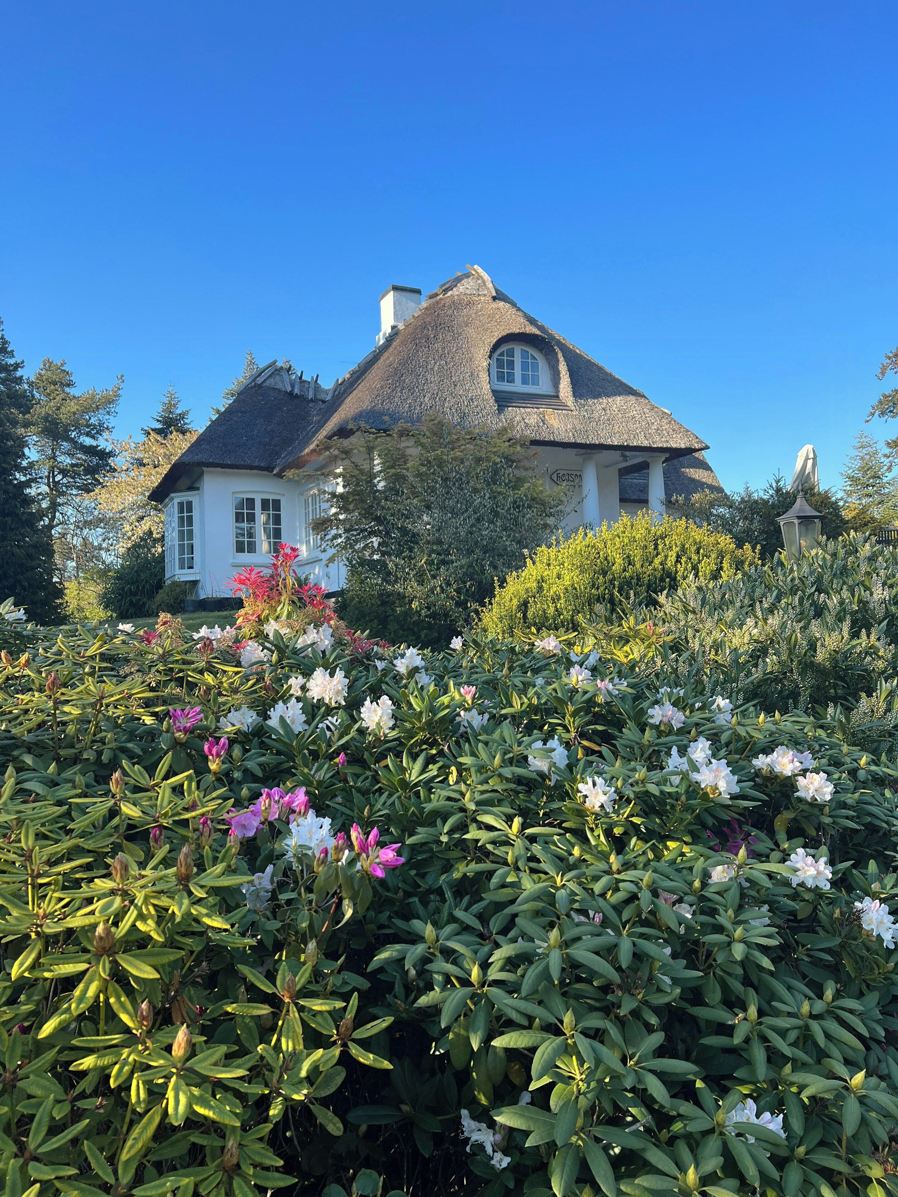 Uma casa com telhado de palha, cercada por vegetação exuberante e plantas floridas.