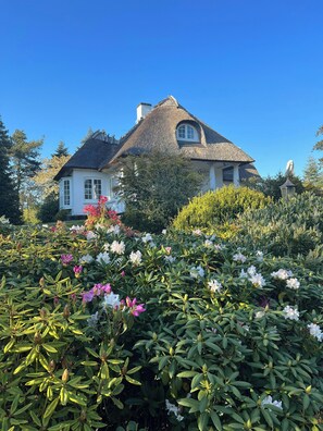 A house with a thatched roof, surrounded by lush greenery and flowering plants. - Historic beach villa with pool at Marielyst (Væggerløse)