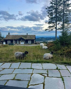 Property grounds - Authentic family cabin experience at Sjusjøen (Sjusjøen)