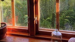Ein schmiedeeisernes Fenster mit Blick auf einen üppigen Garten.