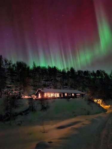Cozy family cabin at Hamlagrø