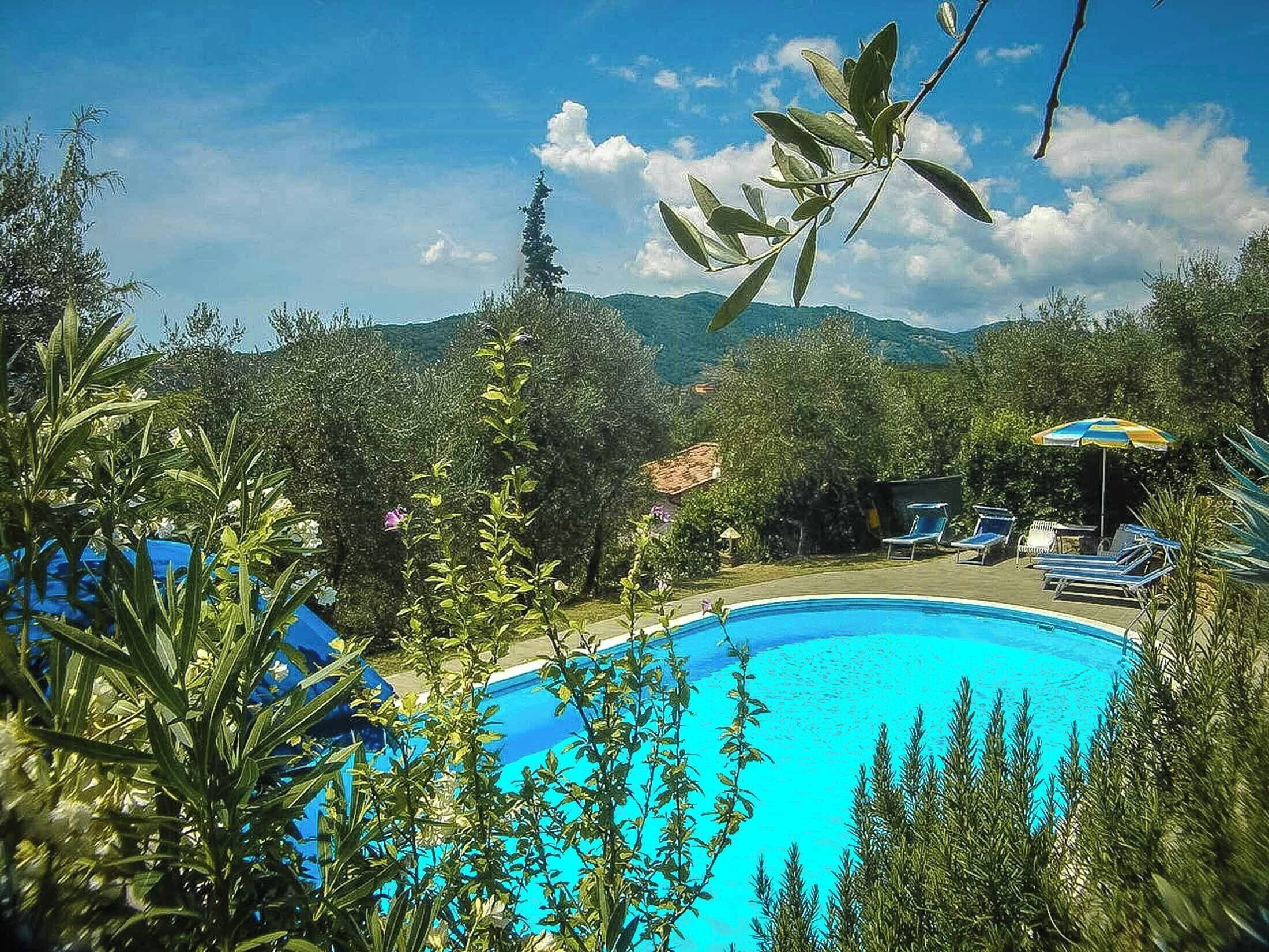 A swimming pool surrounded by greenery, with a view of distant hills and a clear sky.