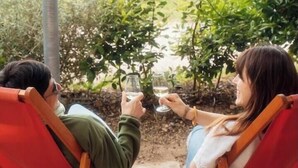 Two people reclining in red chairs on a brick patio with a vineyard in the background. - Charming house in an organic wine estate (Frontignan)