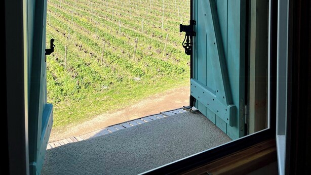 A view through an open door to a vineyard with rows of grapevines. - Charming house in an organic wine estate (Frontignan)