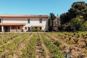 A two-story building with a tiled roof, a balcony, and a vineyard in the foreground. - Charming house in an organic wine estate (Frontignan)