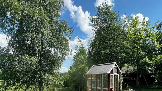 A small glass greenhouse with a metal roof, surrounded by a gravel garden bed and various plants.