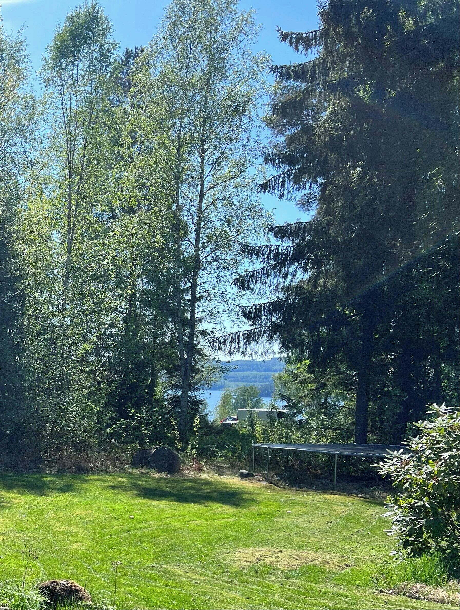 A grassy area with trees and a view of a lake.