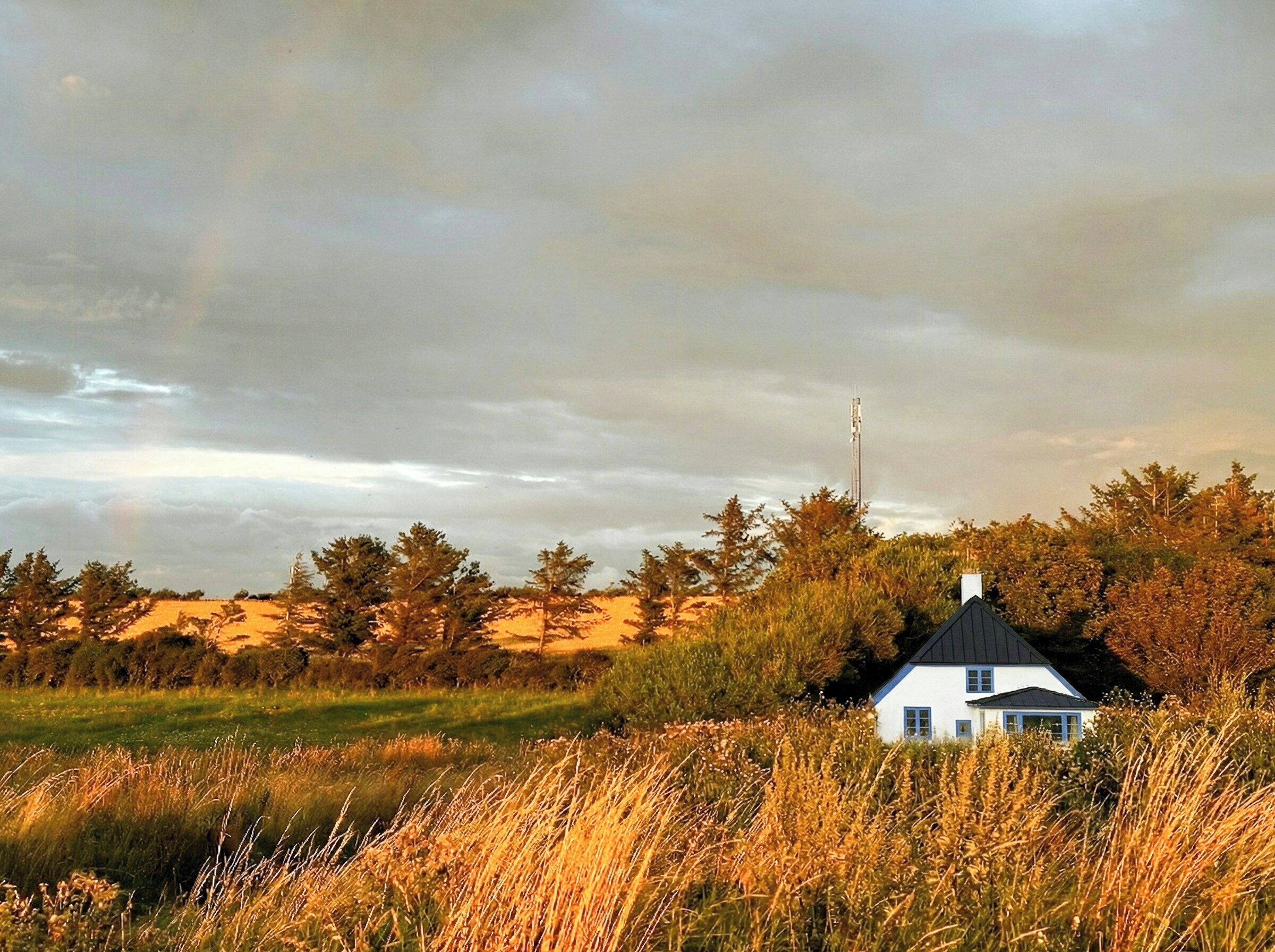 Een wit huis met een zwart dak, omringd door hoog gras en bomen, onder een bewolkte lucht.