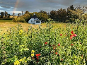 Ein Haus mit schwarzem Dach und weißen Wänden, umgeben von einer Wildblumenwiese und Bäumen.
