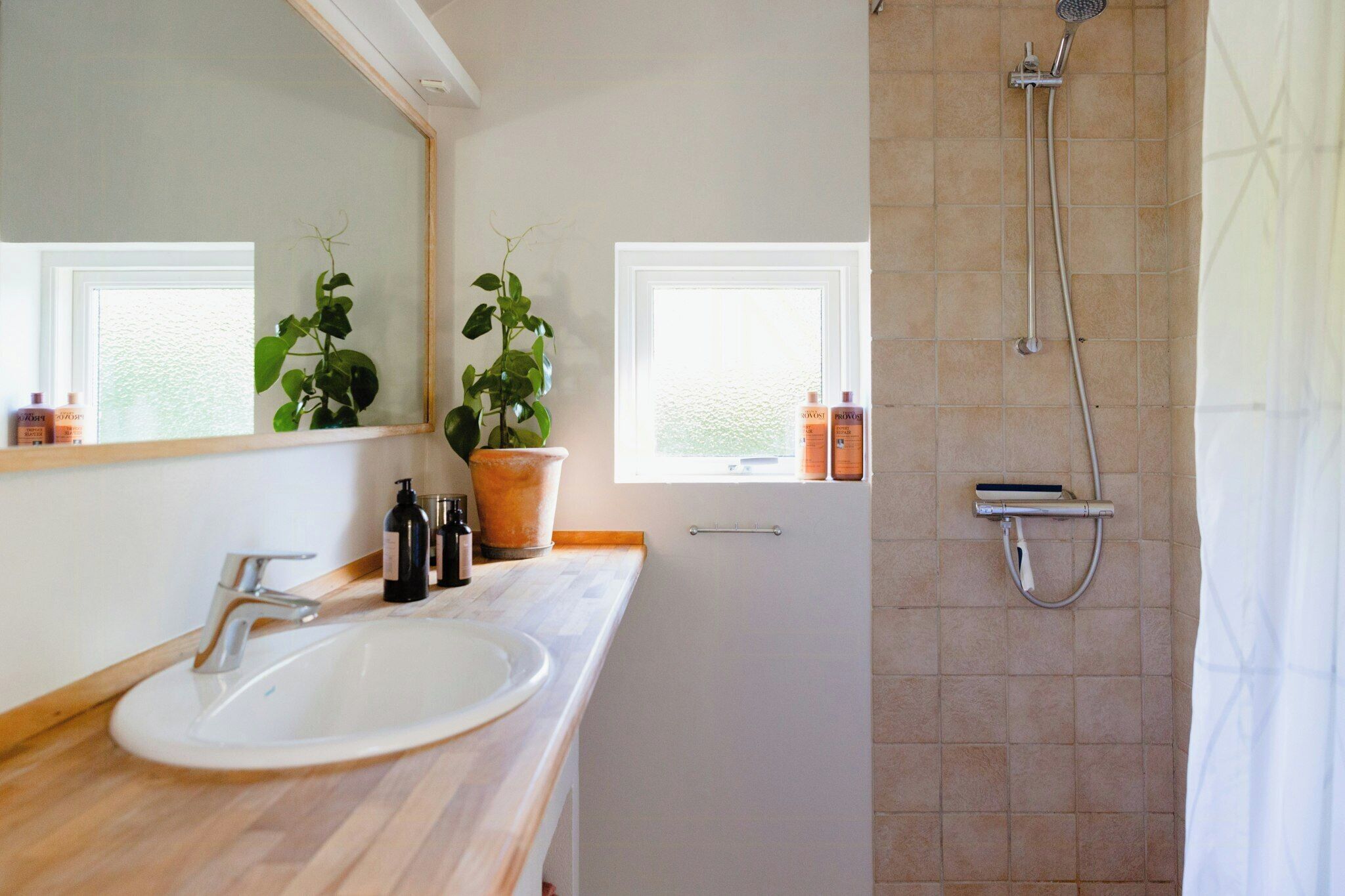 A bathroom with a sink, mirror, potted plant, shower, and two windows.