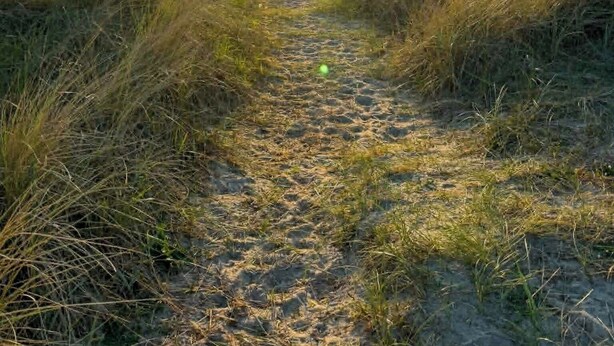 A pathway leading to a sunset over water.
