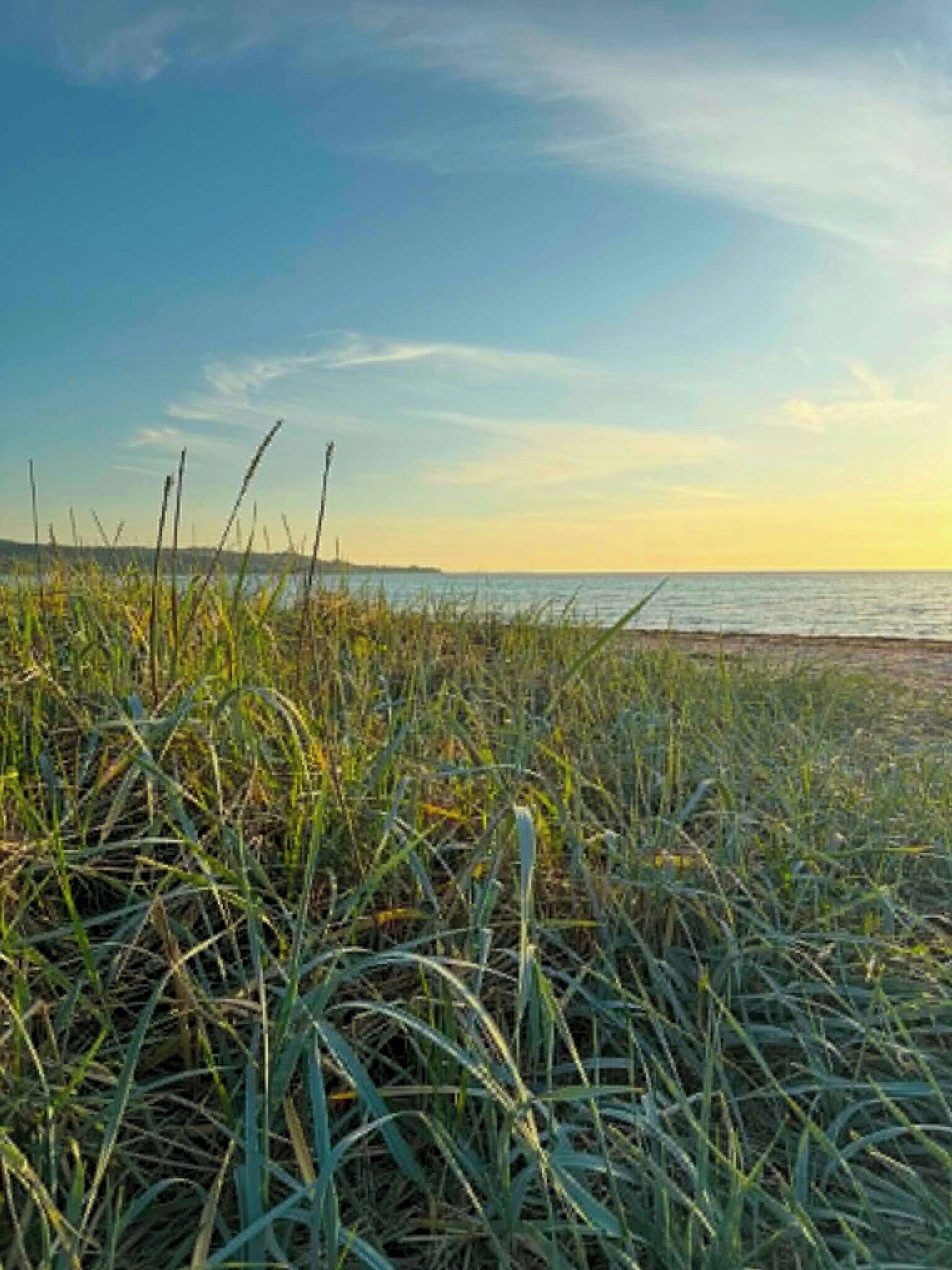 A coastal landscape with grass and a view of the sea.