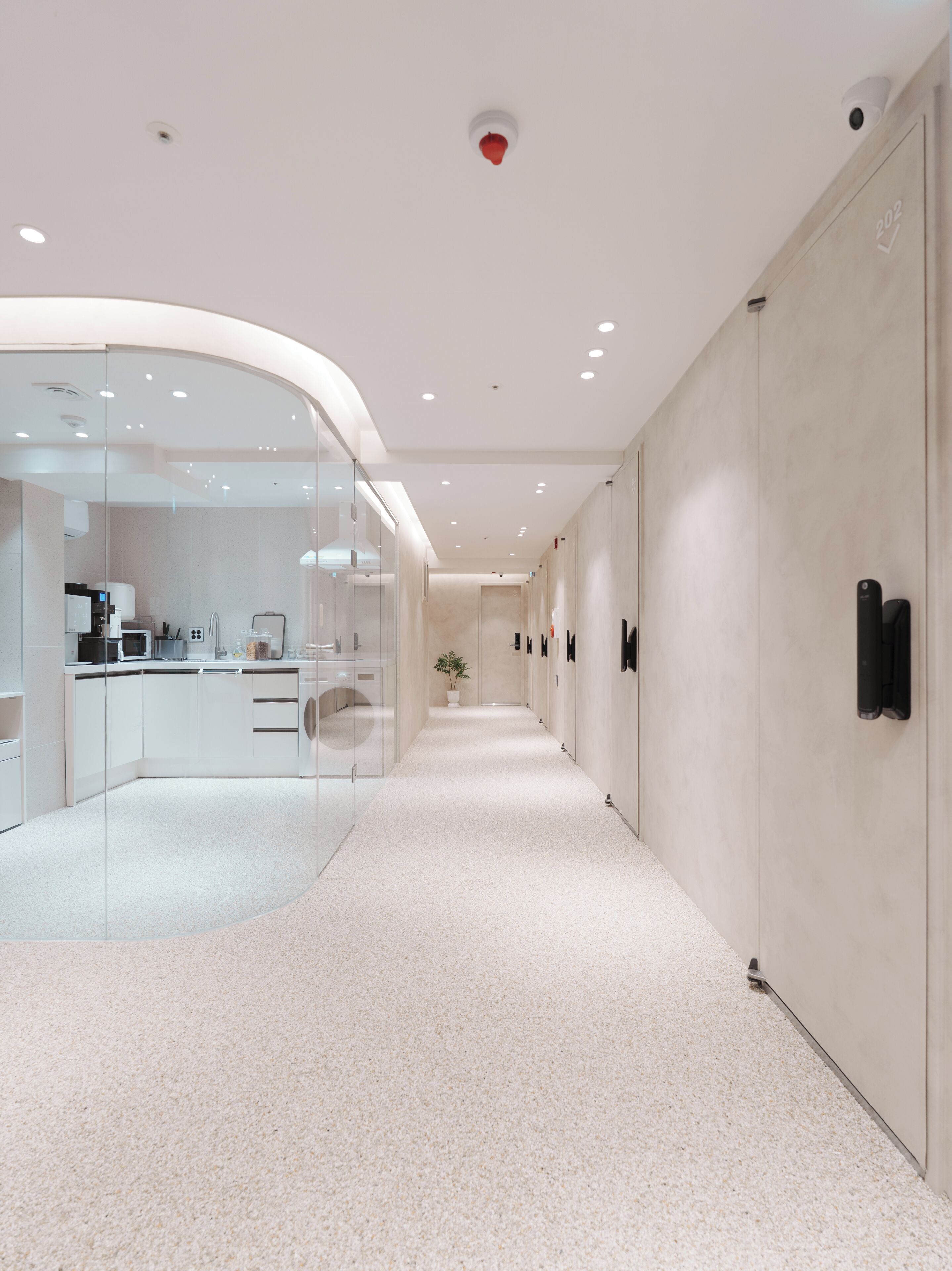 A modern hotel corridor with a curved glass wall on one side, a kitchenette, and a long hallway with doors.