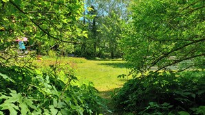 Un jardín exuberante con follaje denso y una zona cubierta de césped.