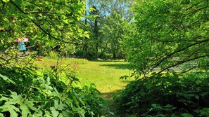 Ein üppiger Garten mit dichtem Grün und einer Rasenfläche.