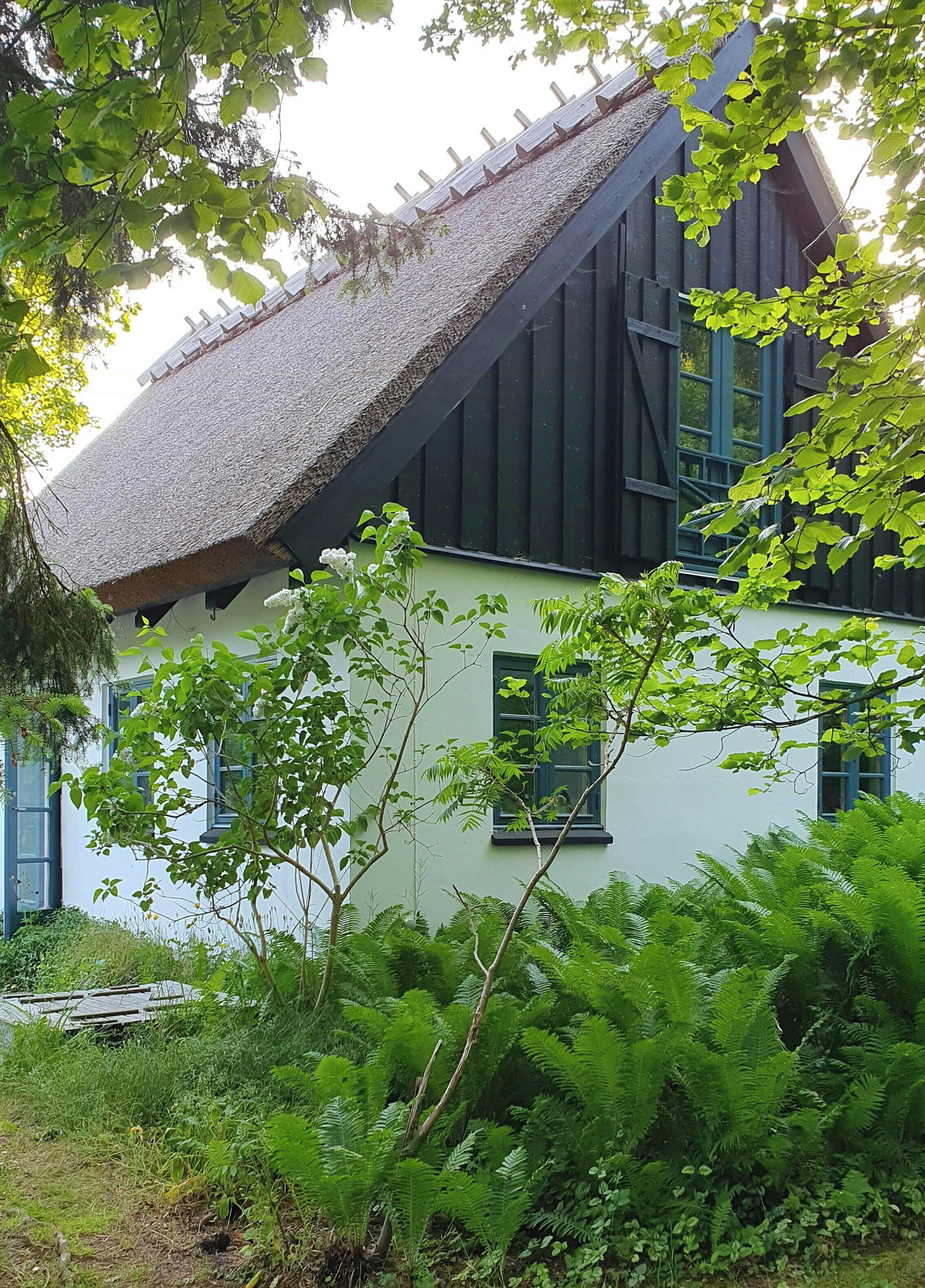Eksteriør