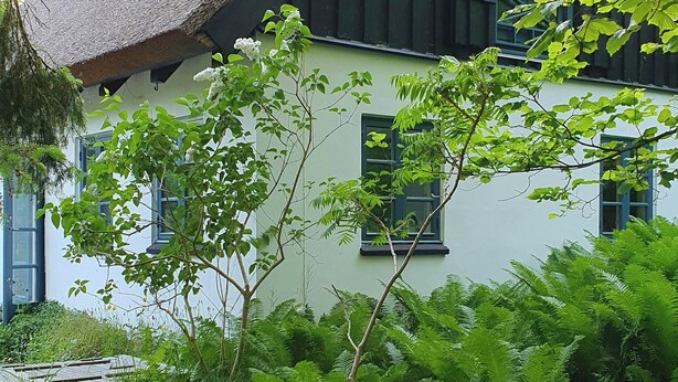 Un edificio con techo inclinado, ventanas amplias y rodeado de abundante vegetación.