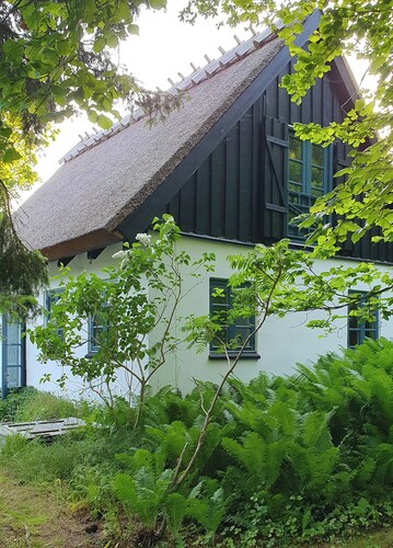 Colour joy in thatched house of the north coast
