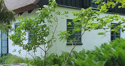 Colour joy in thatched house of the north coast